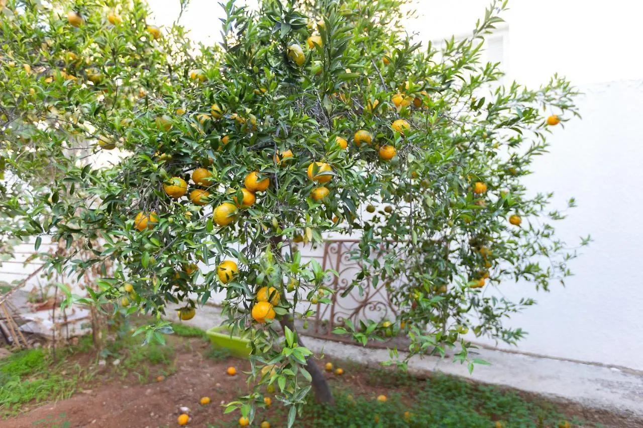 Konukevi Laila'S Cozy Garden House & Studio Larnaca