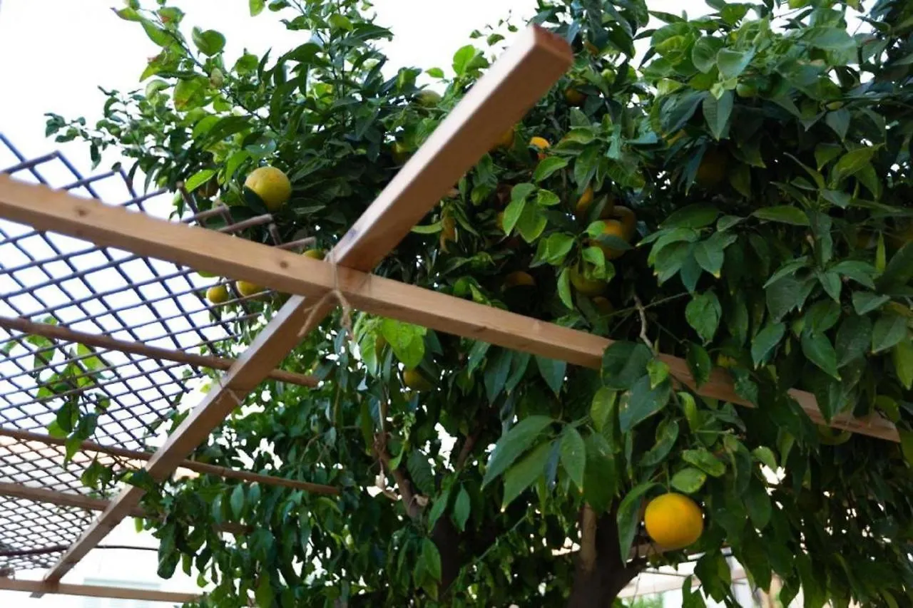 Laila'S Cozy Garden House & Studio Larnaca
